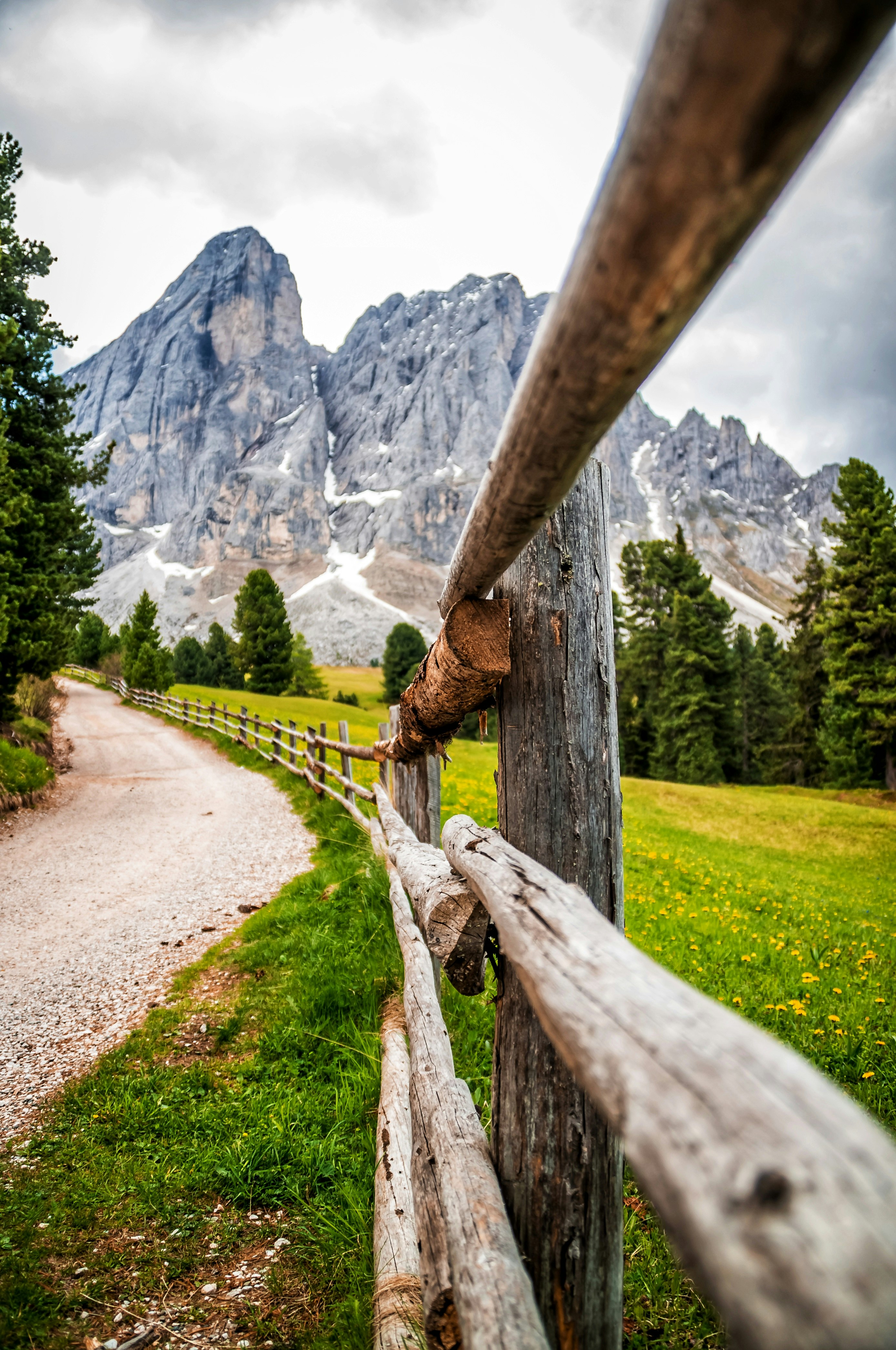 tilt shift lens photography of brown wooden fence